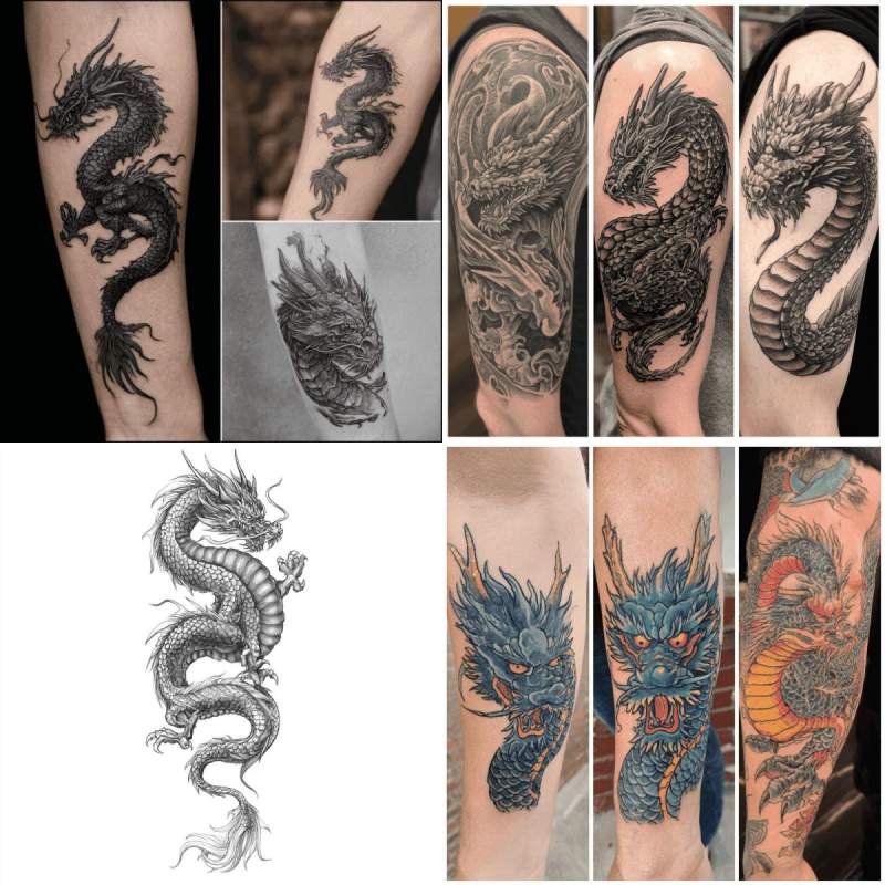 Dragon Tattoo Designs Designs