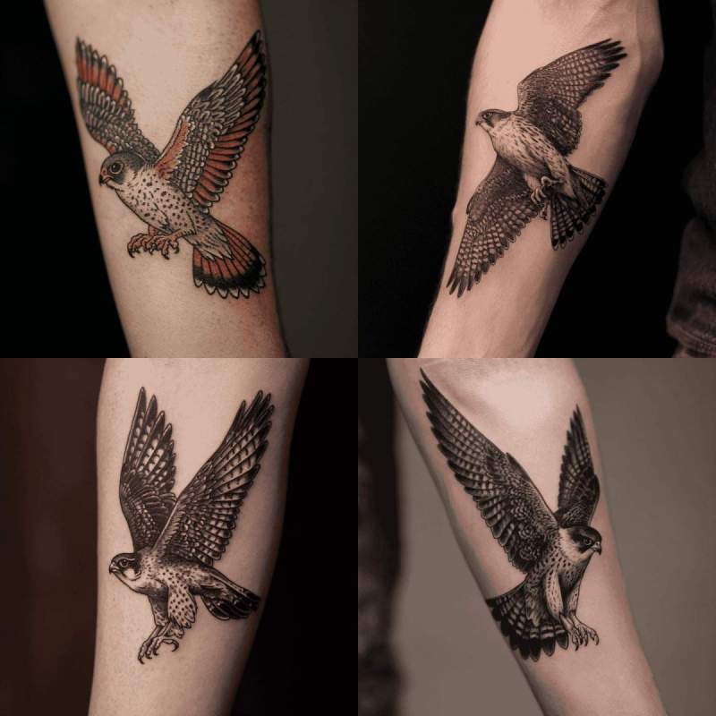 Falke Tattoo Designs