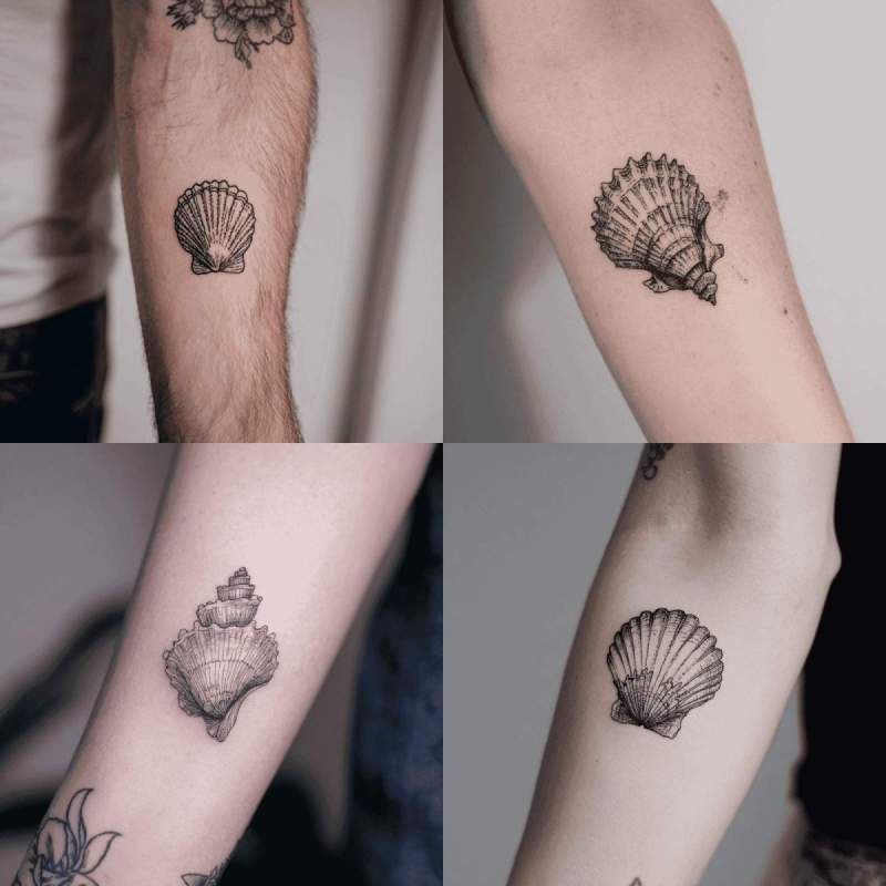 Muschel Tattoo Designs