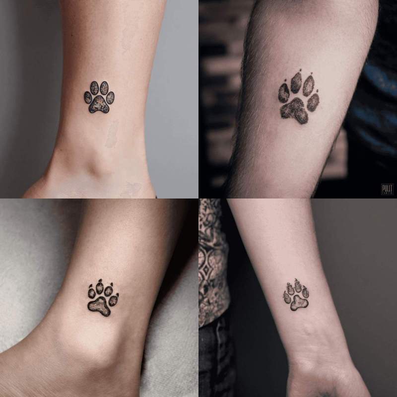 Pfoten Tattoo
