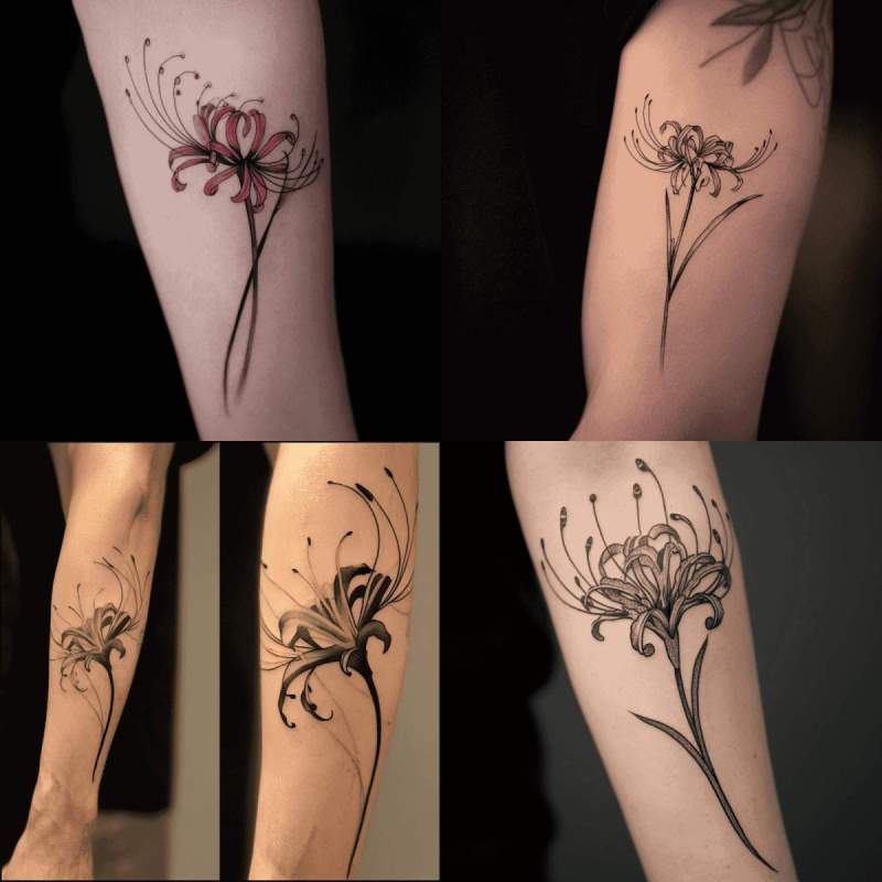 Spider Lily Tattoo Designs