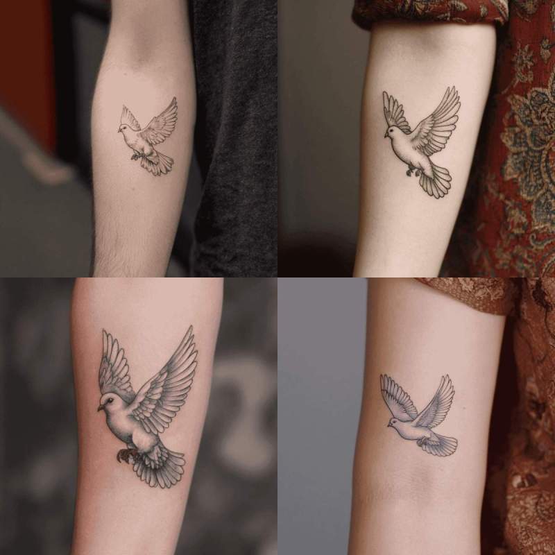 Taube Tattoo Designs